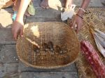 Burma_Teil1_YANGON-MRAUNK_U-043
