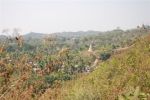 Burma_Teil1_YANGON-MRAUNK_U-070