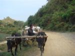 Burma_Teil1_YANGON-MRAUNK_U-091