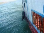 Burma_Teil1_YANGON-MRAUNK_U_-_Tachikek-Kyang_Tong-16