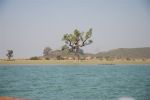 Burma_Teil1_YANGON-MRAUNK_U_-_Tachikek-Kyang_Tong-31