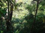 Burma_Teil2_Kyang_Tong-Samui-022