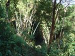 Burma_Teil2_Kyang_Tong-Samui-025