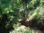 Burma_Teil2_Kyang_Tong-Samui-071