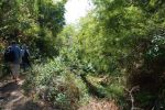 Burma_Teil2_Kyang_Tong-Samui-075