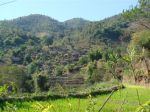 Burma_Teil2_Kyang_Tong-Samui-083