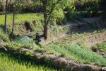 Burma_Teil2_Kyang_Tong-Samui-095