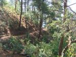 Burma_Teil2_Kyang_Tong-Samui-112