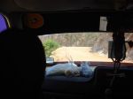 Burma_Teil2_Kyang_Tong-Samui-184