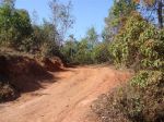 Burma_Teil2_Kyang_Tong-Samui-202