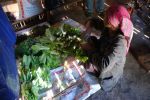 Burma_Teil2_Kyang_Tong-Samui-209