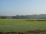 Burma_Teil2_Kyang_Tong-Samui-233