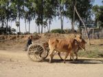 Burma2012_103