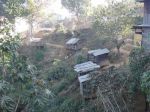 Burma2012_223