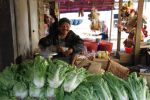 Burma2012_225