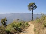 Burma2012_229