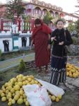 Burma2012_260