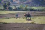 Burma2012_271