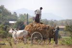 Burma2012_279