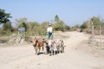 Burma2012_280