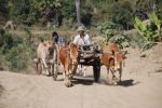 Burma2012_285