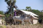 Burma2012_288