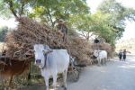 Burma2012_290