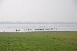 Burma2012_366