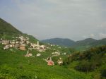 DSC09769