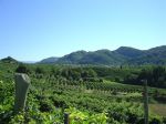 DSC09813