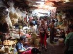 cambidia2007_012