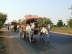 cambidia2007_033