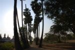 cambidia2007_076