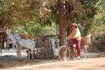 cambidia2007_104