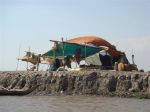 cambidia2007_247