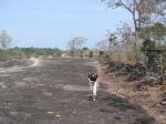2009Laos064