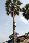 2009Laos087