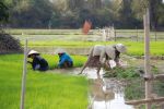 2009Laos089