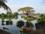 2009Laos132