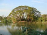 2009Laos133