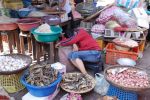2009Laos146