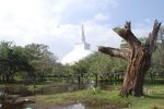 srilanka010