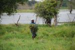 srilanka018