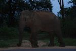 srilanka019