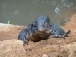 srilanka022