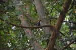 srilanka025