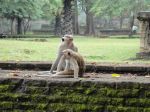 srilanka030