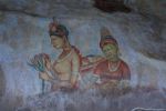 srilanka044