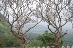 srilanka054