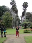srilanka069